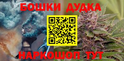 дурь Сланцы