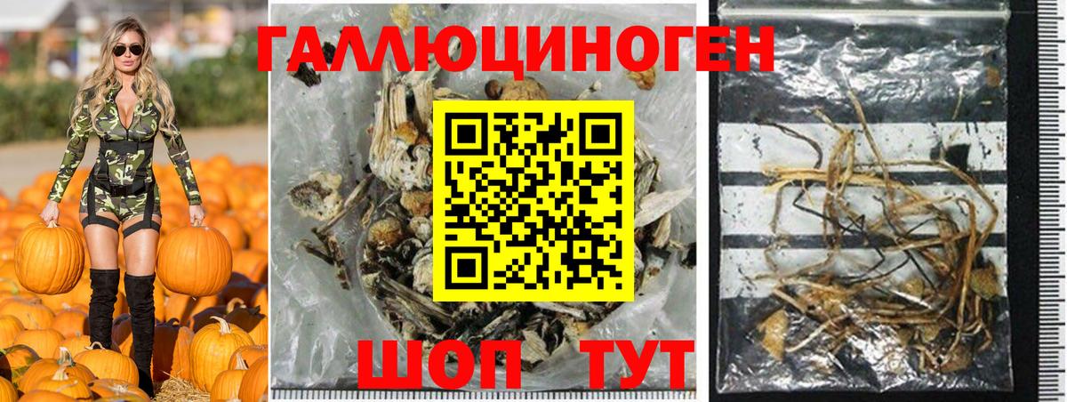 Псилоцибиновые грибы прущие грибы Рассказово