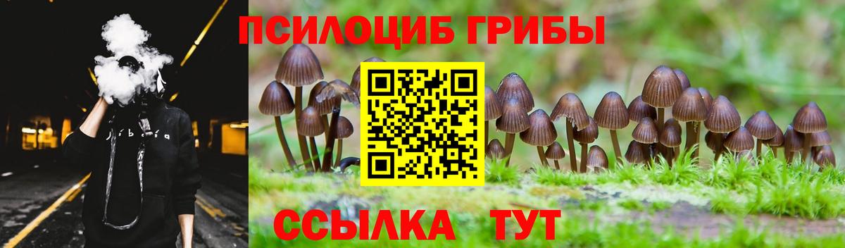 Псилоцибиновые грибы GOLDEN TEACHER  Псилоцибиновые грибы мухоморы  Вход с VPN  магазин продажи наркотиков  Рассказово 